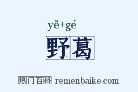 野葛是什么意思的图片